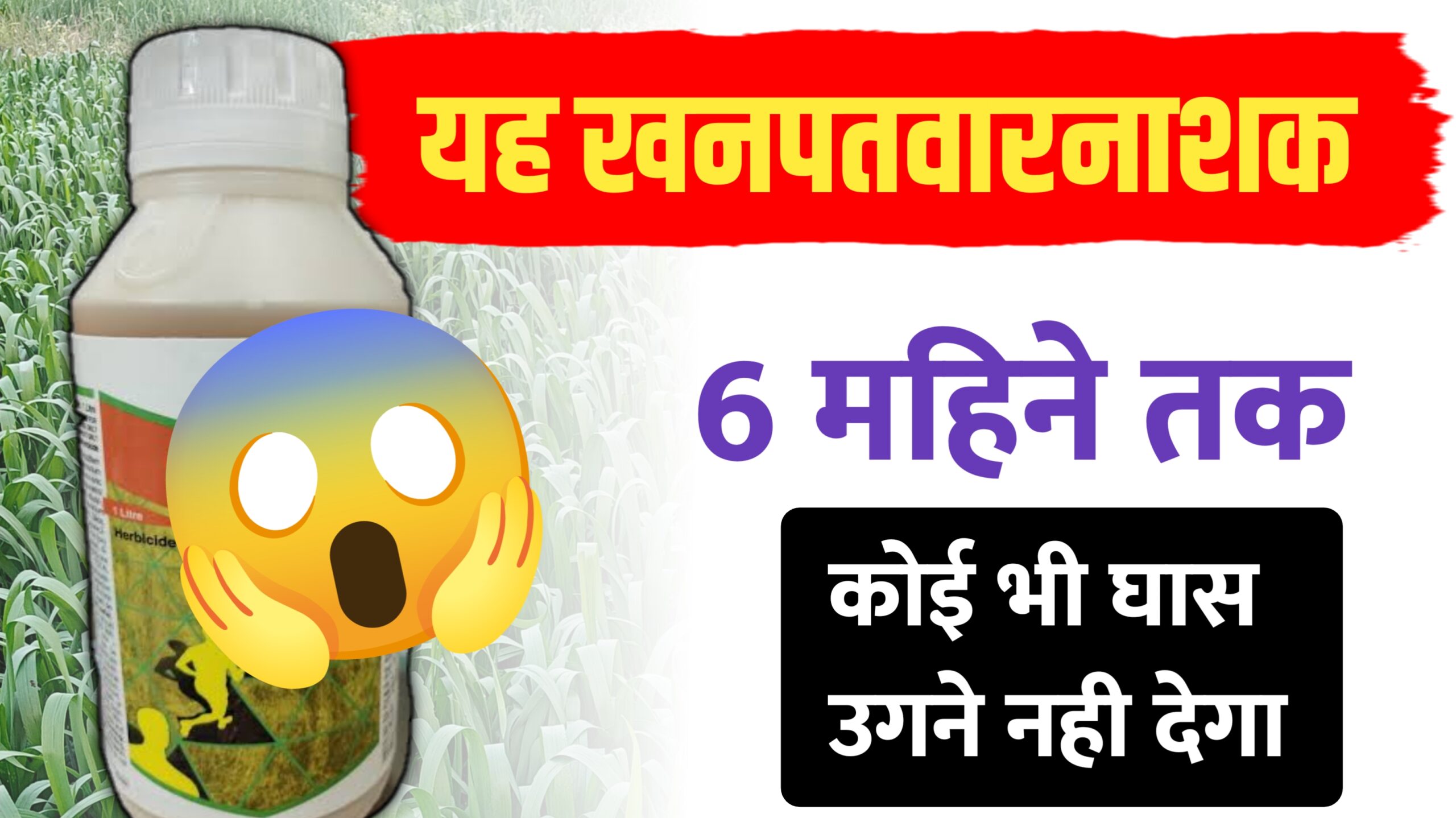 बायर का 'अलियन प्लस