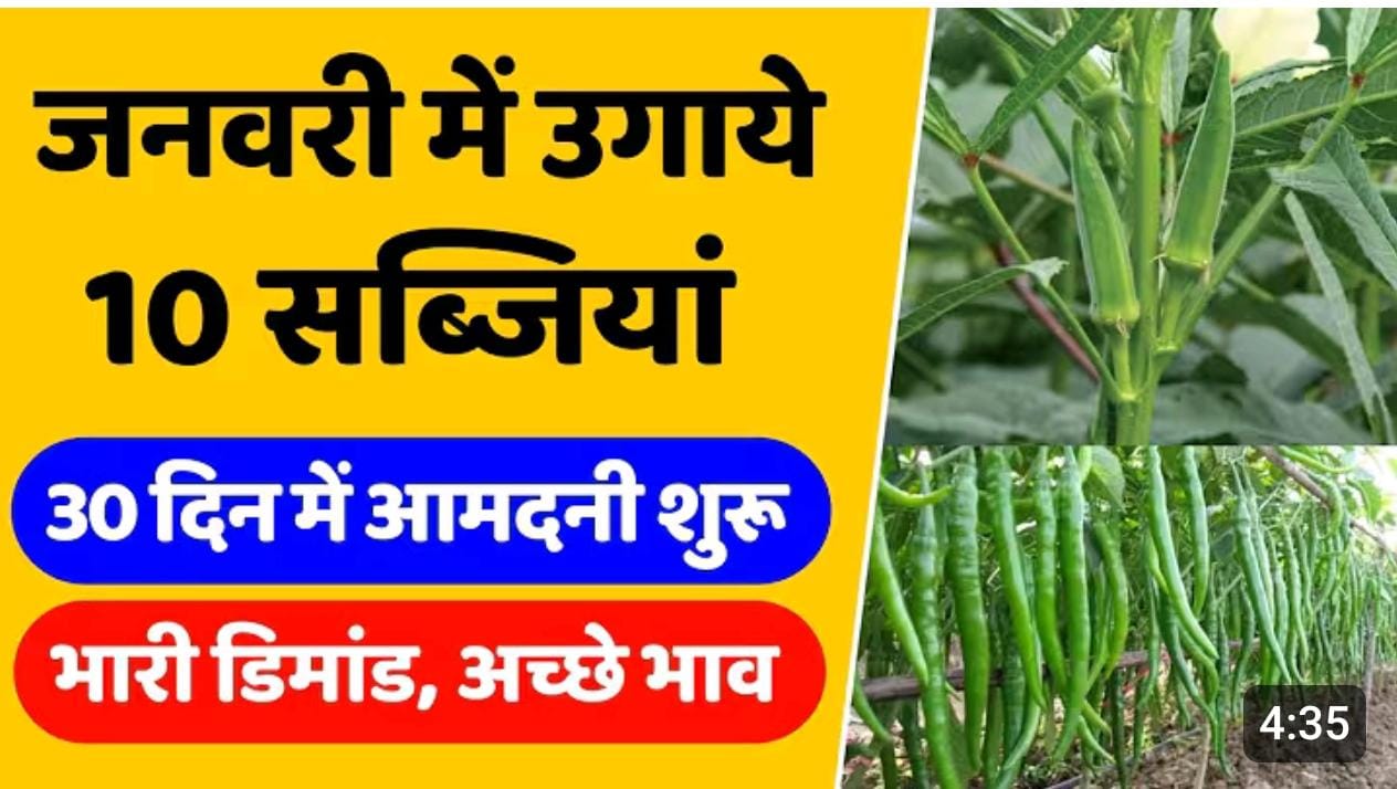 दिसंबर मे लगायें